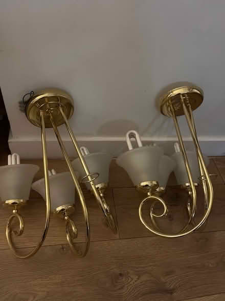 Photo of free A pair of ceiling lights (Spottiswoode EH9) #1