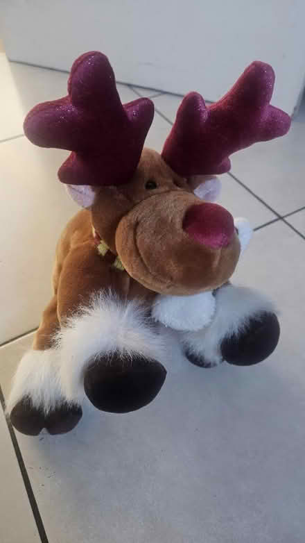 Photo of free Reindeer Teddy (dellfield AL1) #1
