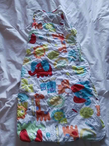 Photo of free Baby sleeping bags (East Dulwich, SE22) #3