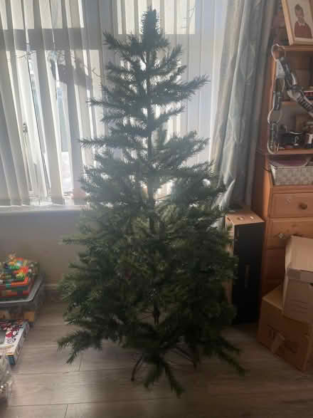 Photo of free Christmas tree (Longlevens, Gloucester) #1