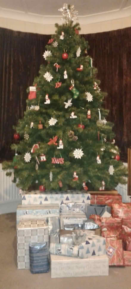 Photo of free Extremely bushy 6ft Christmas Tree (Welling DA16, Off Welling Way) #1