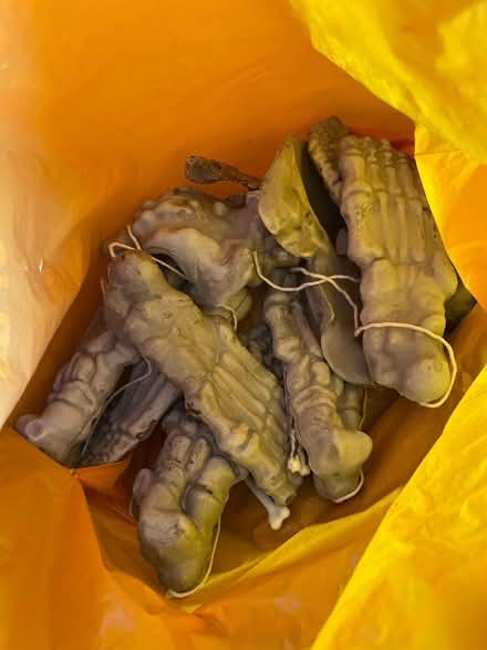 Photo of free Halloween costumes/ props (Crystal Palace SE19) #2