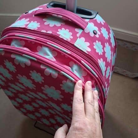 Photo of free Bright pink suitcase (New Southgate N11) #4