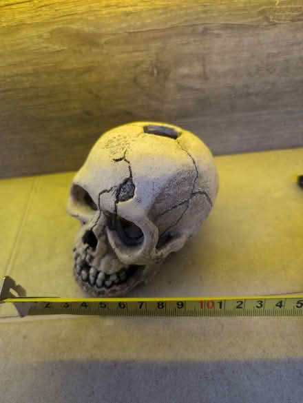 Photo of free Aquarium ornament - skull #2 (Bear Flat, Bath BA24) #1