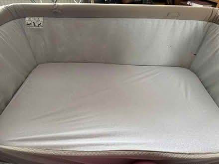 Photo of free Chico Next to Me (Ilkeston DE7) #3