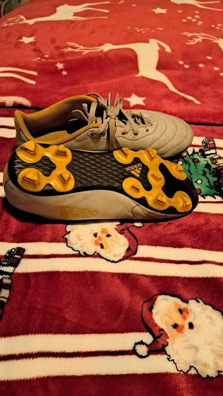 Photo of free Ruby boots (Gosport PO13) #2