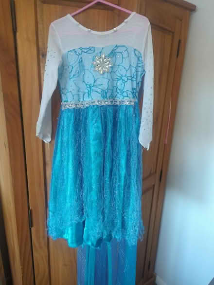 Photo of free Well loved Frozen Elsa dress age 6 (TA19) #1