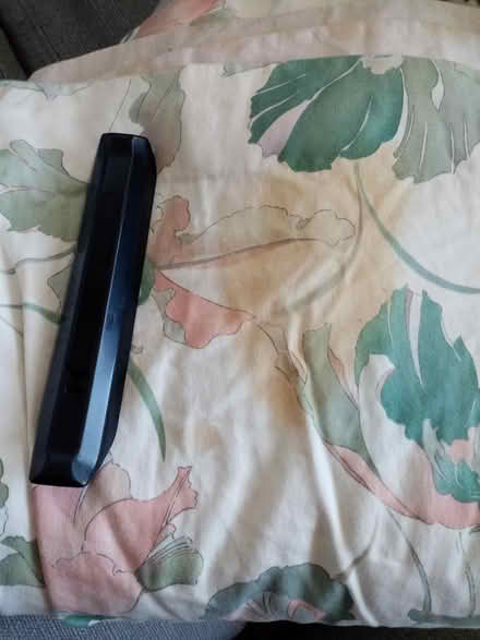 Photo of free Huge lined curtains (Pimlico, SW1) #3