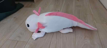 Photo of free Toy axolotl (Lower Caversham, RG4) #2