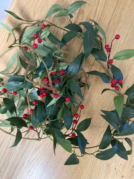 Photo of free Christmas decoration & garlands (Kingston KT2) #2