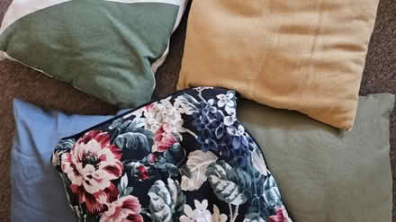 Photo of free Selection of cushions (Brighton, BN2) #2