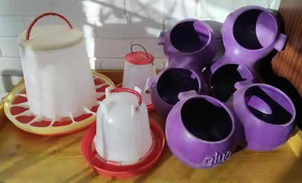 Photo of free Poultry Feeders & Drinkers (DA1) #1