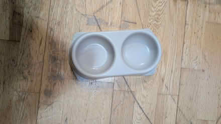 Photo of free Cat supplies (Colchester CO1) #1