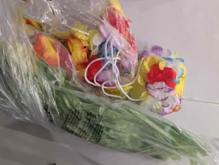 Photo of free Kids Hawaiian costume (Morphett Vale) #1