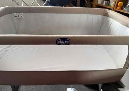 Photo of free Chico Next to Me (Ilkeston DE7) #2