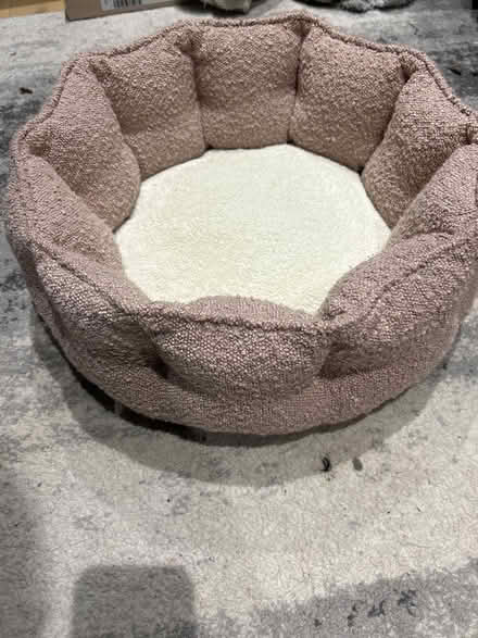 Photo of free Cat bed (Hoddesdon EN11) #1