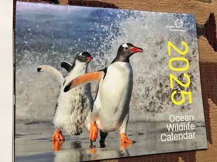 Photo of free 2025 calendars for the photos (south sunnyvale) #2