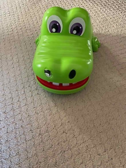 Photo of free Crocodile dentist (Crooks Barn TS20) #3