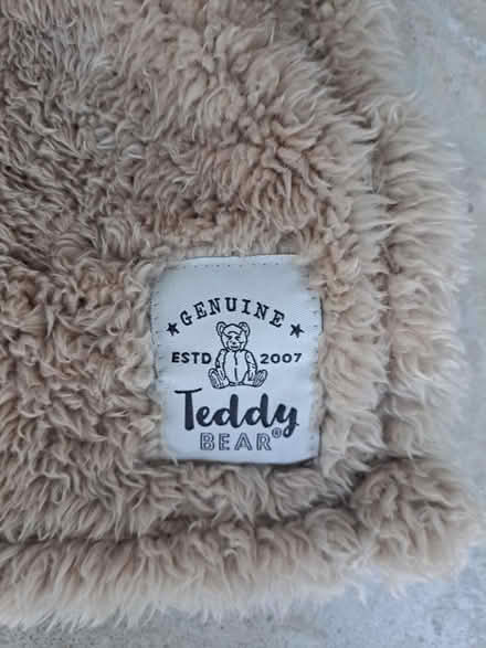 Photo of free Dunelm Teddy Blanket (Heswall) #2