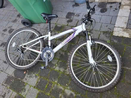 Photo of free Girls Apollo bike 14inch frame (Norton Sheffield S8) #4