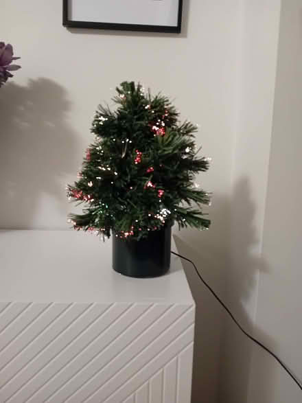 Photo of free Fibre Optic Christmas Tree (Caerphilly CF83) #3