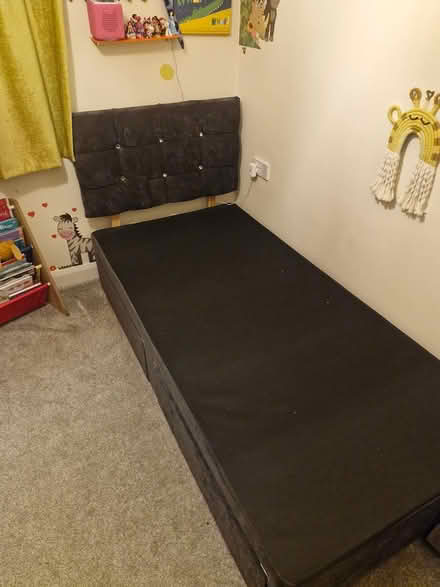 Photo of free Single grey divan bed (Dronfield S18) #1