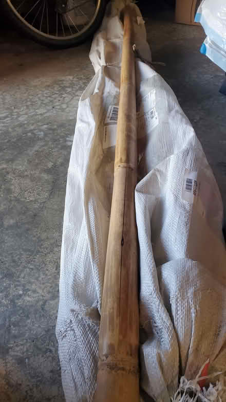 Photo of free 7ft long bamboo pole (Sultan) #1
