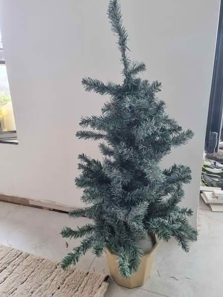 Photo of free Christmas tree (Loughborough) #1