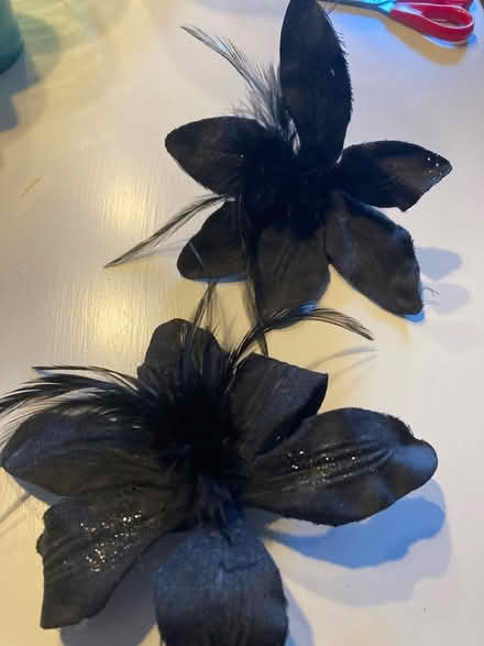 Photo of free Decorative black hair bobbles (Trinity, North Edinburgh EH5) #1