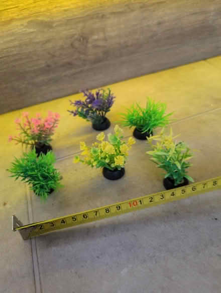Photo of free Aquarium ornaments - faux plants (Bear Flat, Bath BA24) #1