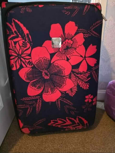 Photo of free Large suitcase (BS16) #4