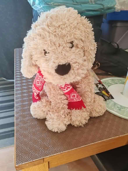 Photo of free Very soft fluffy dog (RG2) #1