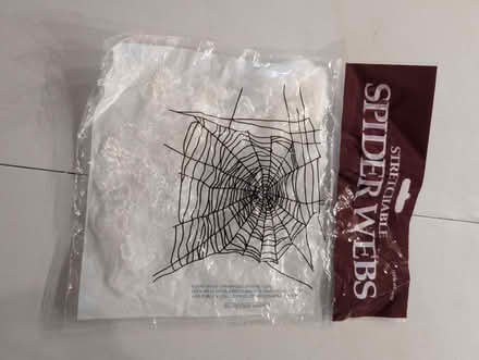 Photo of free Fake spider web (Morphett Vale) #1