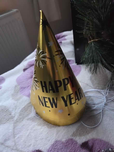 Photo of free Christmas Items (EX22 7JP) #4