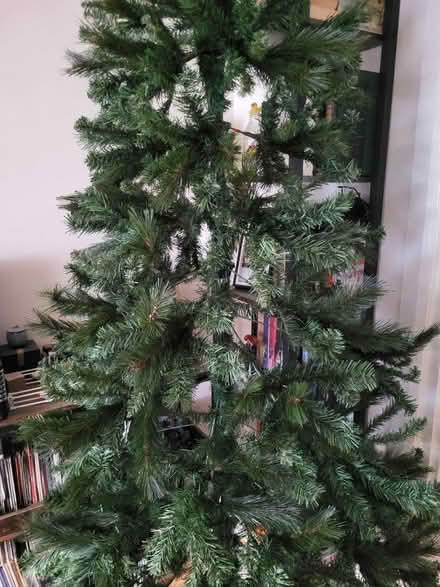 Photo of free 6ft 5 Christmas Tree (Prenton CH43) #2