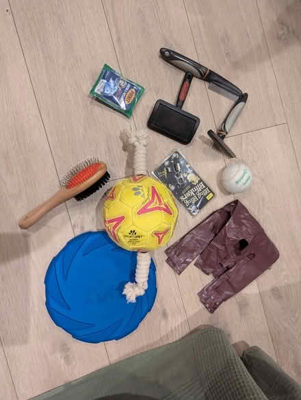 Photo of free Assorted dog stuff (SE16) #1