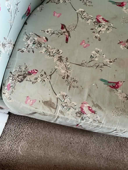Photo of free Beautiful Birds Tub Chair (Sprowston (NR7)) #2