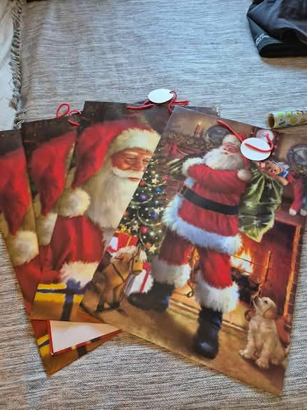 Photo of free 4 x unused GIANT gift bags (Chiseldon, SN4) #1