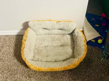 Photo of free Cat Bed and Cat Tree Stand (Boulder Ridge Apartments) #1