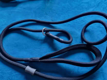 Photo of free Black sliplead (Biddulph) #1