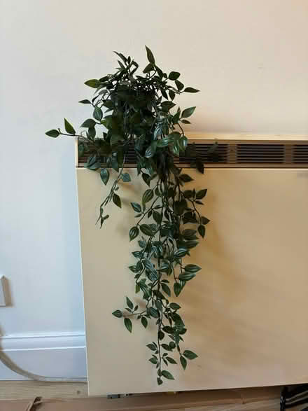 Photo of free Fake plant (Waterloo) #1