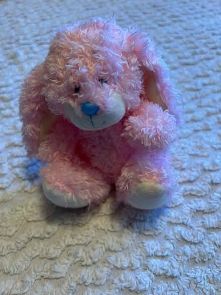 Photo of free Two rabbit soft toys. (Writtle CM1) #1