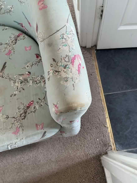 Photo of free Beautiful Birds Tub Chair (Sprowston (NR7)) #3