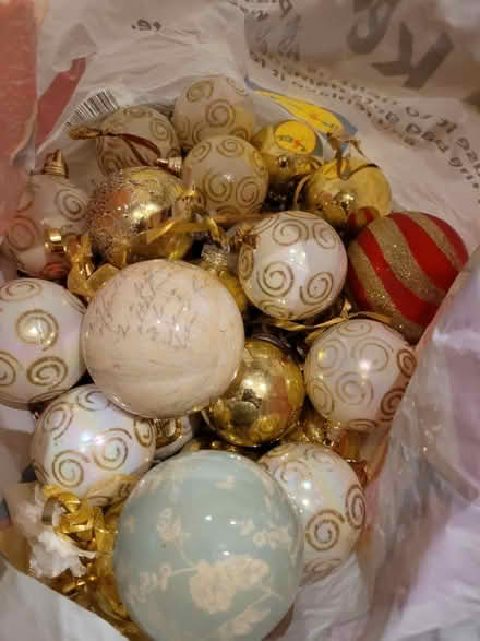Photo of free Christmas decorations 🎄 (Lloyd Park) #2