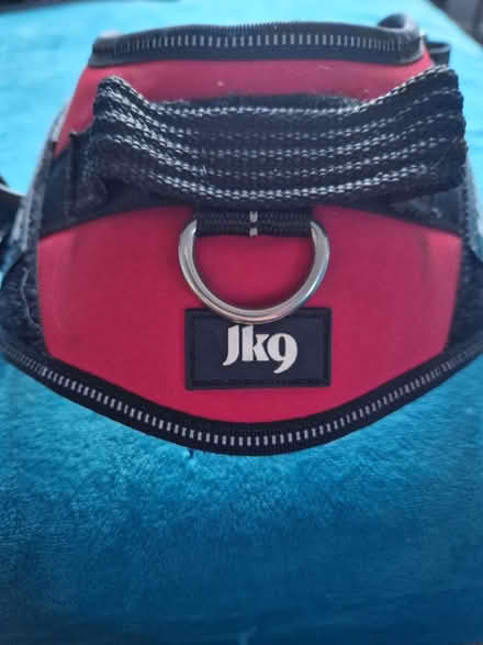 Photo of free Julius size S harness (Biddulph) #3