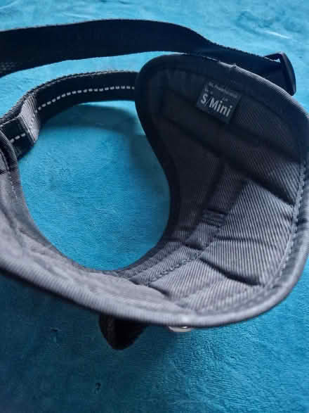 Photo of free Julius size S harness (Biddulph) #2