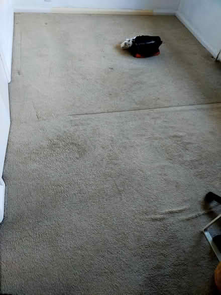 Photo of free Old carpet (Old Windsor SL4) #1