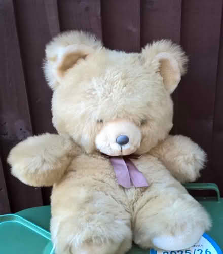 Photo of free Soft teddy (Hoddesdon EN11) #1