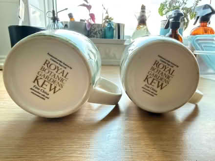 Photo of free 2 x Pretty Kew garden mugs (Newlyn TR18) #2