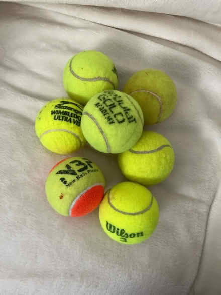 Photo of free 7 tennis balls used (SW8 Wandsworth Road) #1